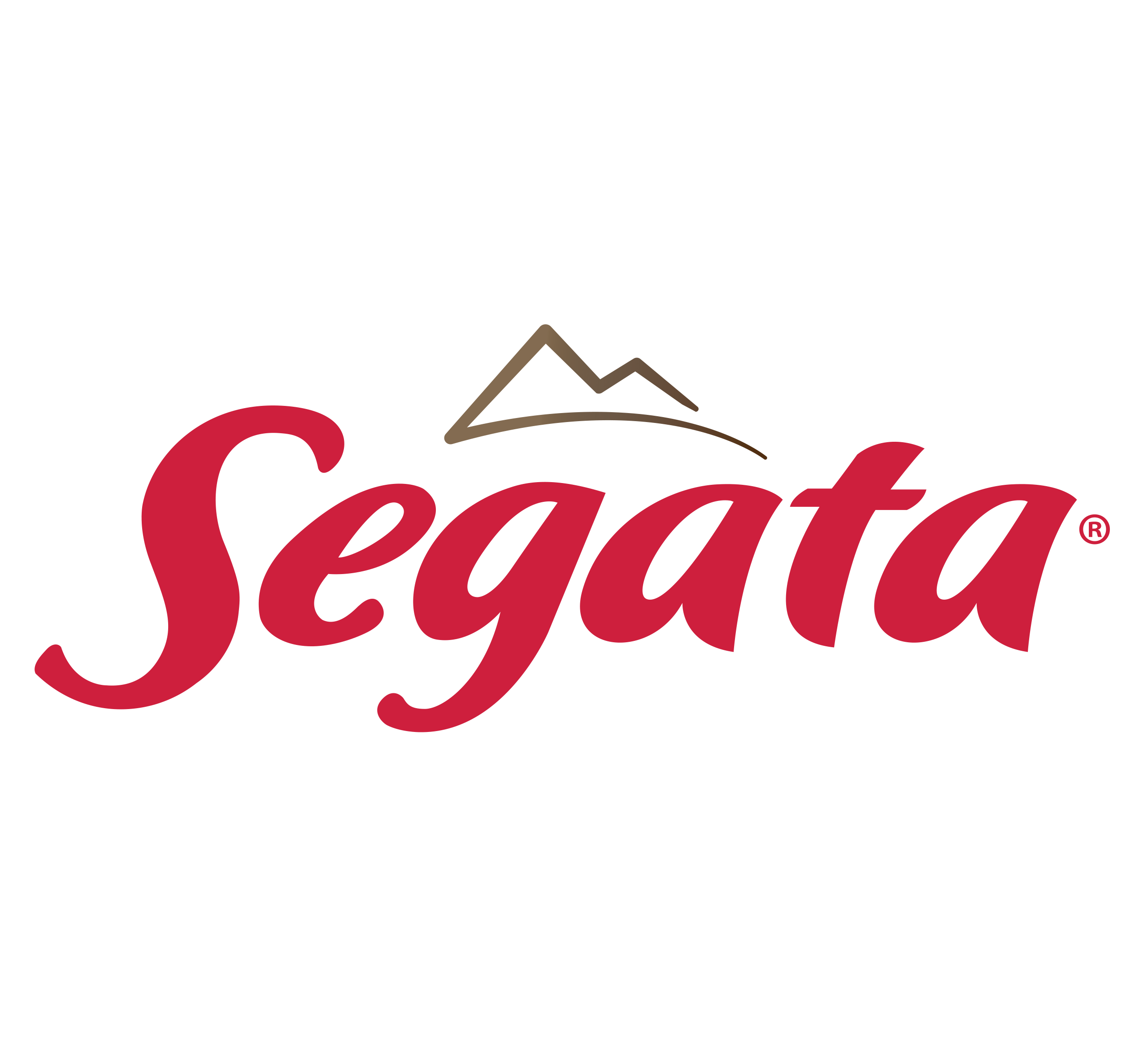 Logo Segata