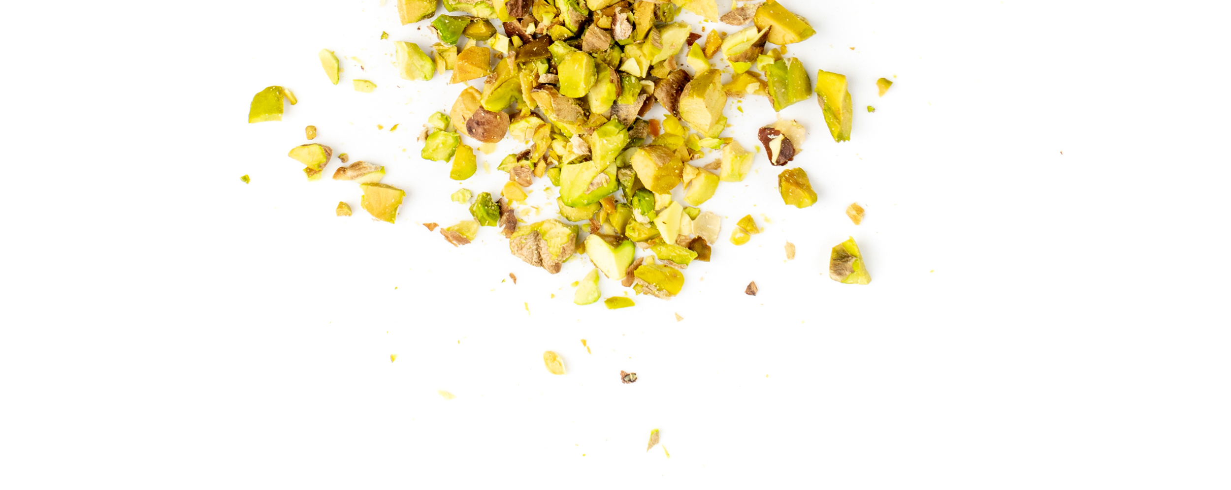 AdobeStock_420681532_L 1