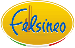 Felsineo_logo 300x190