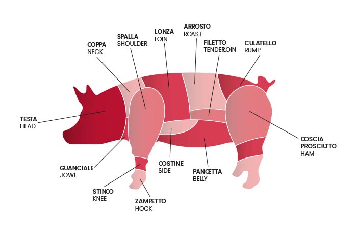 immagine_1 immagine_1