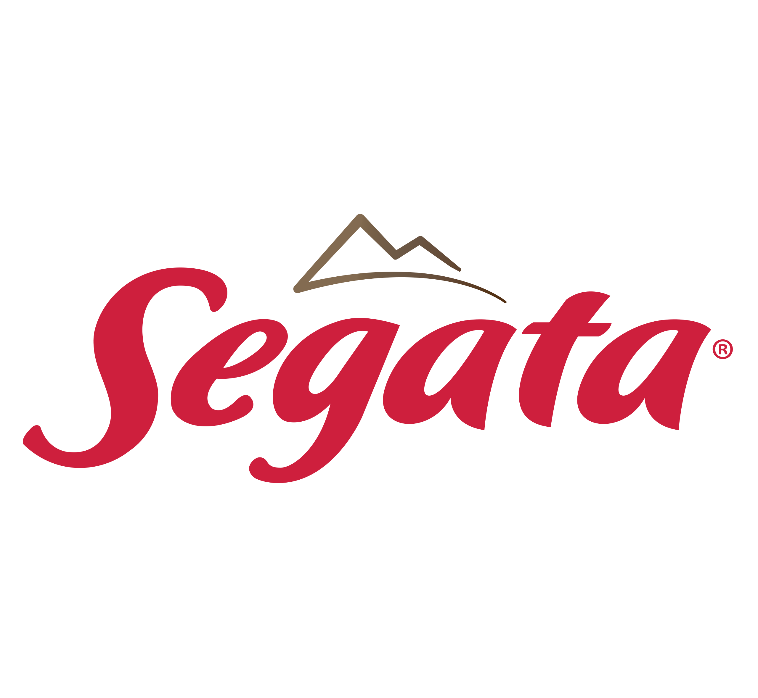 Logo Segata 1