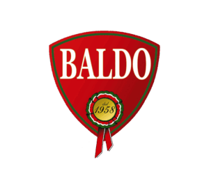 logo baldo 1 300x276