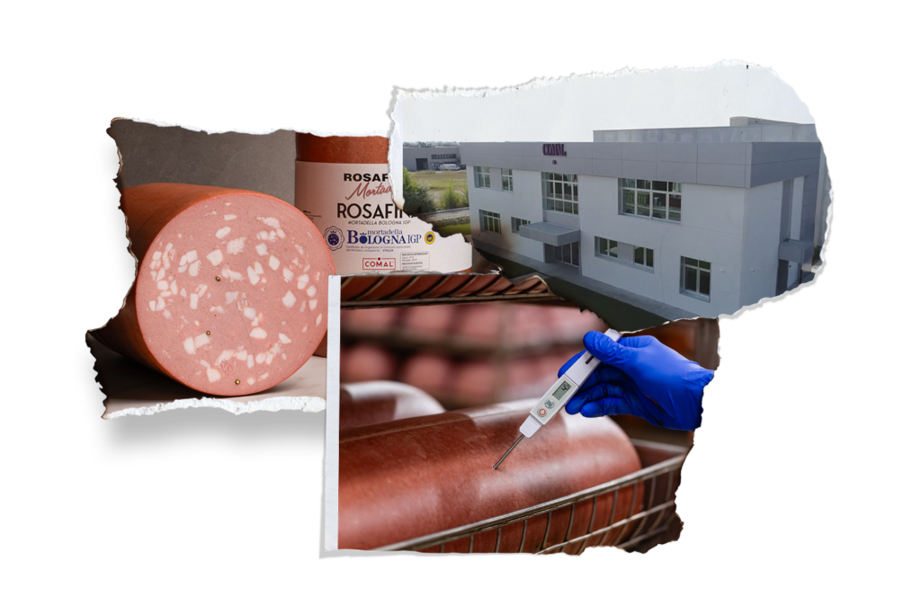 MB_MDGR_COLLAGE_COMAL.jpg 1024x683